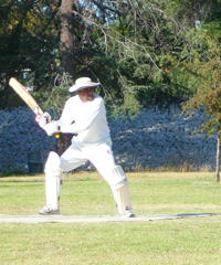 Ali Mamdani at bat